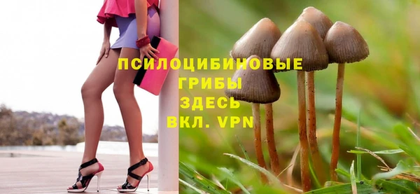 МДМА Медвежьегорск